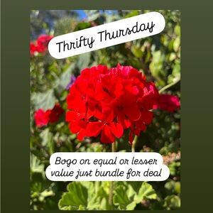 Thrifty Thursday-Bogo on equal or lesser value items